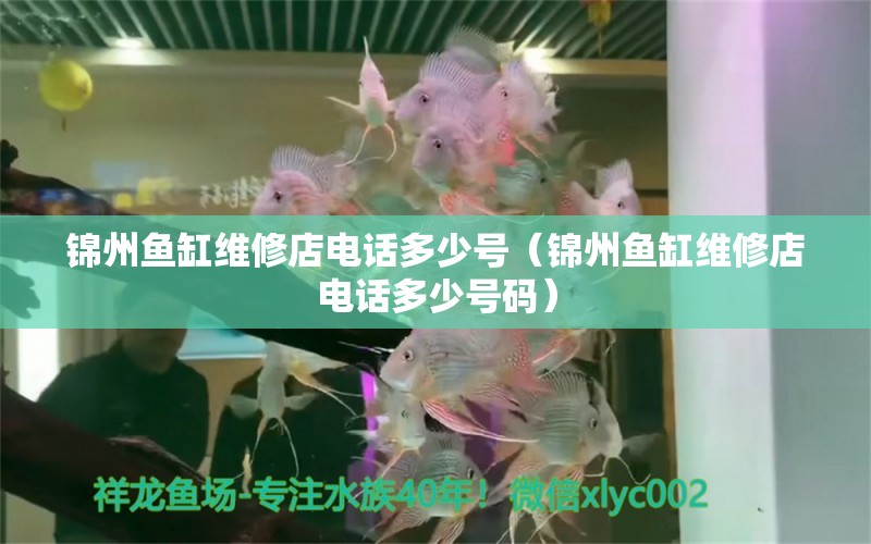 錦州魚缸維修店電話多少號（錦州魚缸維修店電話多少號碼）