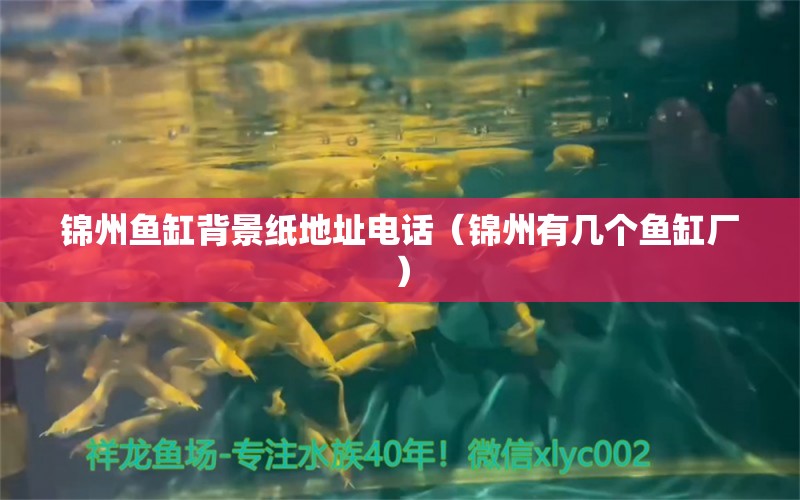 錦州魚缸背景紙地址電話（錦州有幾個(gè)魚缸廠）