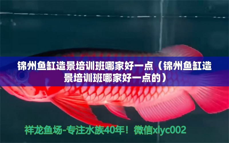 錦州魚(yú)缸造景培訓(xùn)班哪家好一點(diǎn)（錦州魚(yú)缸造景培訓(xùn)班哪家好一點(diǎn)的）