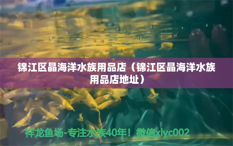 錦江區(qū)晶海洋水族用品店（錦江區(qū)晶海洋水族用品店地址）