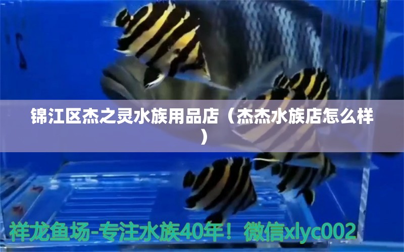 錦江區(qū)杰之靈水族用品店（杰杰水族店怎么樣） 水族用品