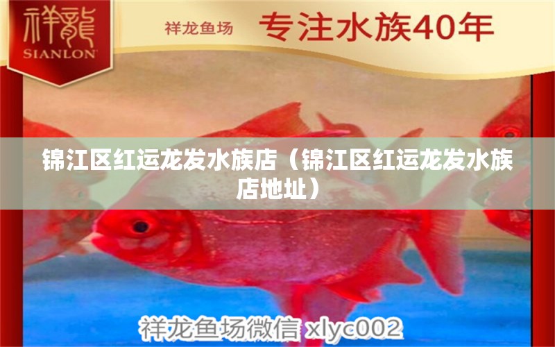 錦江區(qū)紅運(yùn)龍發(fā)水族店（錦江區(qū)紅運(yùn)龍發(fā)水族店地址） 全國水族館企業(yè)名錄