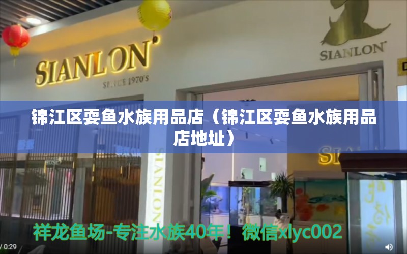 錦江區(qū)耍魚水族用品店（錦江區(qū)耍魚水族用品店地址） 水族用品