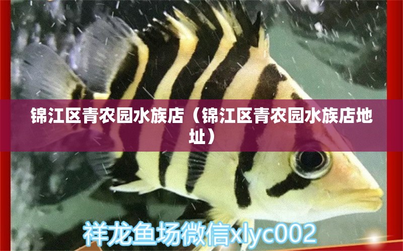 錦江區(qū)青農(nóng)園水族店（錦江區(qū)青農(nóng)園水族店地址） 全國水族館企業(yè)名錄