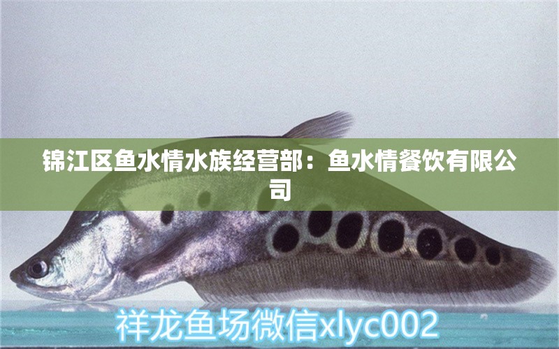 錦江區(qū)魚水情水族經(jīng)營部：魚水情餐飲有限公司