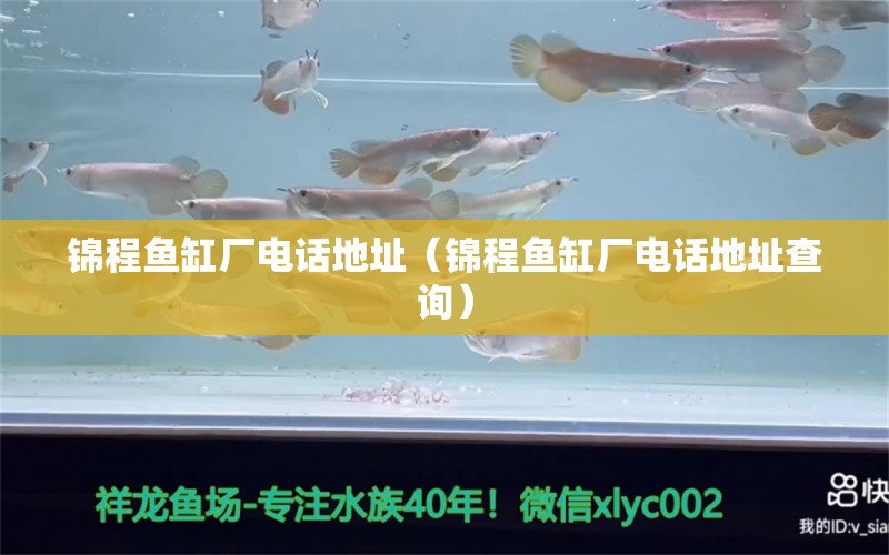 錦程魚缸廠電話地址（錦程魚缸廠電話地址查詢） 量子養(yǎng)魚技術(shù)