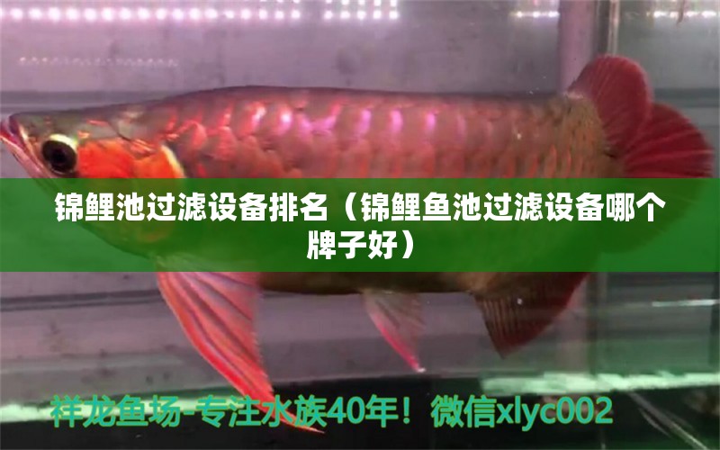 錦鯉池過濾設(shè)備排名（錦鯉魚池過濾設(shè)備哪個(gè)牌子好） 過濾設(shè)備