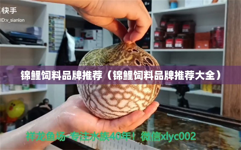 錦鯉飼料品牌推薦（錦鯉飼料品牌推薦大全）