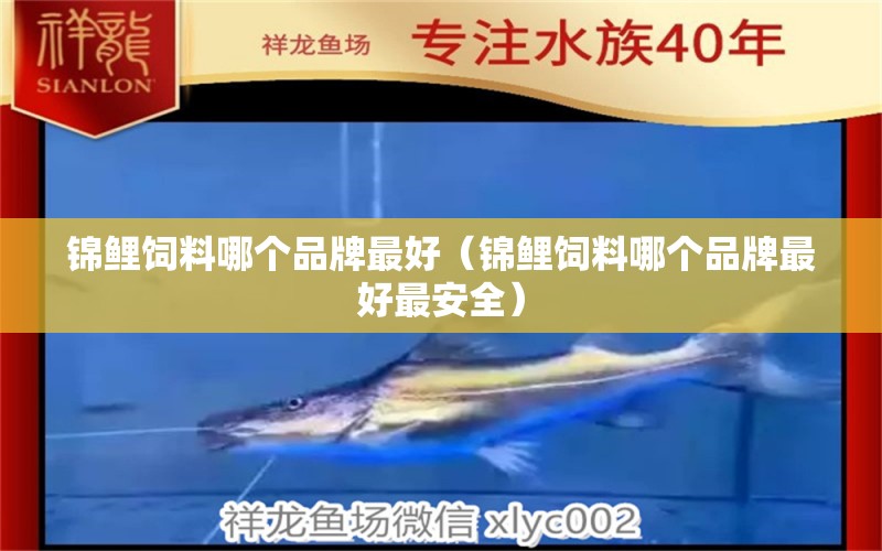 錦鯉飼料哪個(gè)品牌最好（錦鯉飼料哪個(gè)品牌最好最安全） 錦鯉飼料