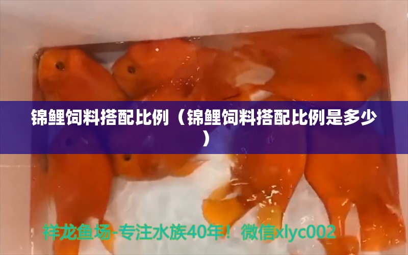 錦鯉飼料搭配比例（錦鯉飼料搭配比例是多少）