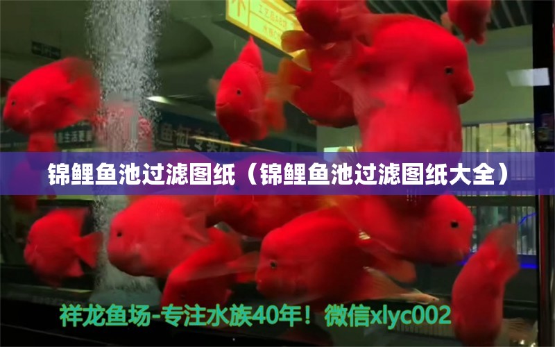 錦鯉魚池過濾圖紙（錦鯉魚池過濾圖紙大全）