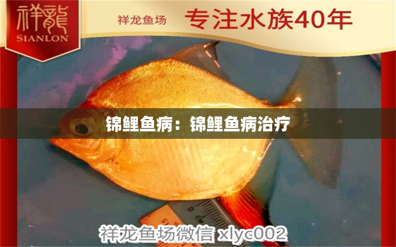 錦鯉魚病：錦鯉魚病治療