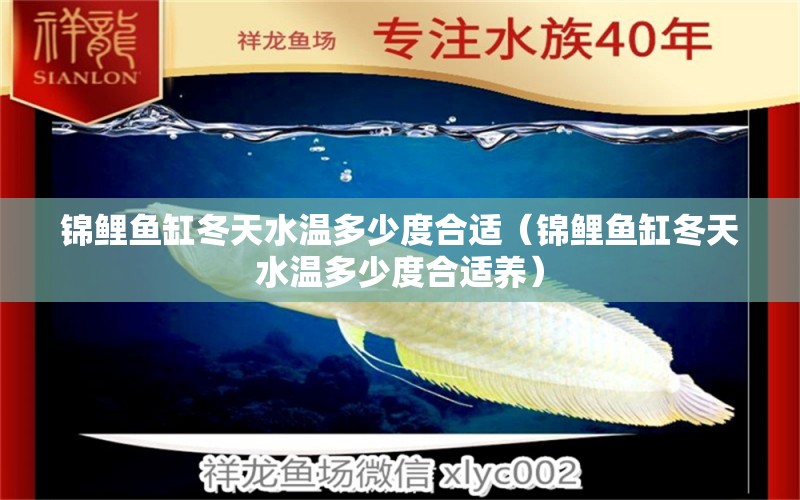 錦鯉魚缸冬天水溫多少度合適（錦鯉魚缸冬天水溫多少度合適養(yǎng)）