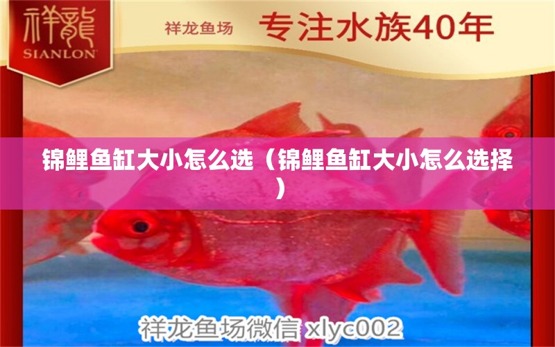 錦鯉魚(yú)缸大小怎么選（錦鯉魚(yú)缸大小怎么選擇）