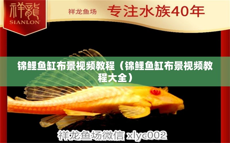 錦鯉魚缸布景視頻教程（錦鯉魚缸布景視頻教程大全） 黑影道人魚