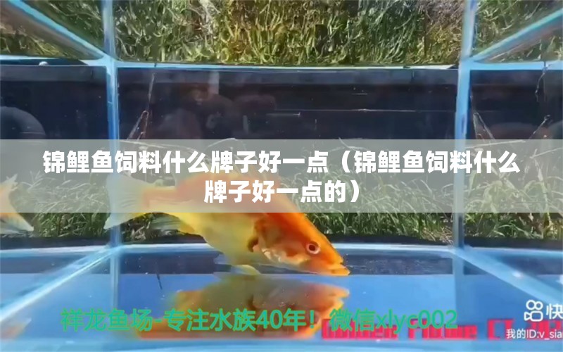 錦鯉魚飼料什么牌子好一點（錦鯉魚飼料什么牌子好一點的）