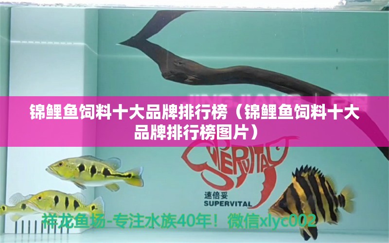 錦鯉魚飼料十大品牌排行榜（錦鯉魚飼料十大品牌排行榜圖片）