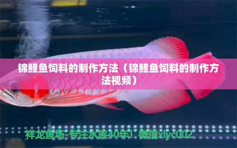 錦鯉魚飼料的制作方法（錦鯉魚飼料的制作方法視頻）