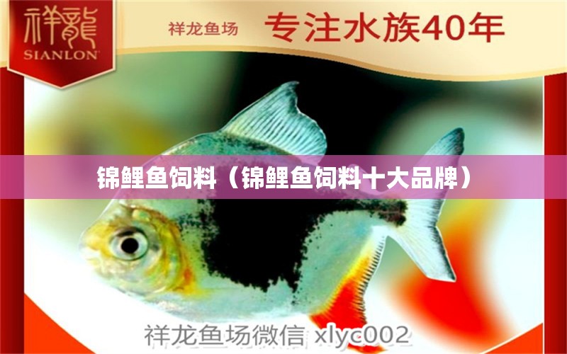 錦鯉魚飼料（錦鯉魚飼料十大品牌）