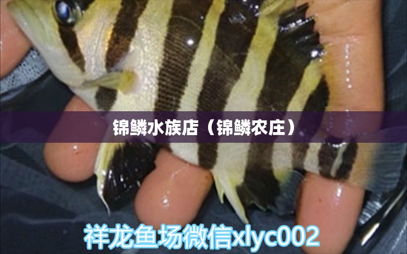 錦鱗水族店（錦鱗農(nóng)莊） 全國水族館企業(yè)名錄