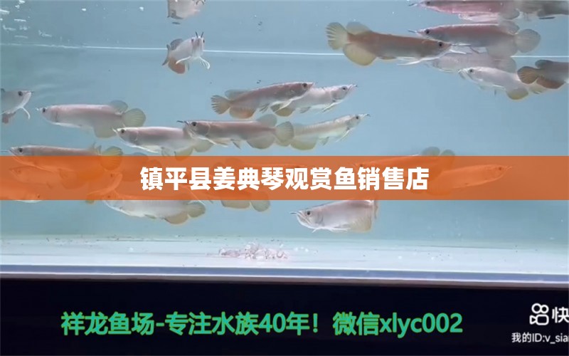 鎮(zhèn)平縣姜典琴觀賞魚銷售店 全國水族館企業(yè)名錄