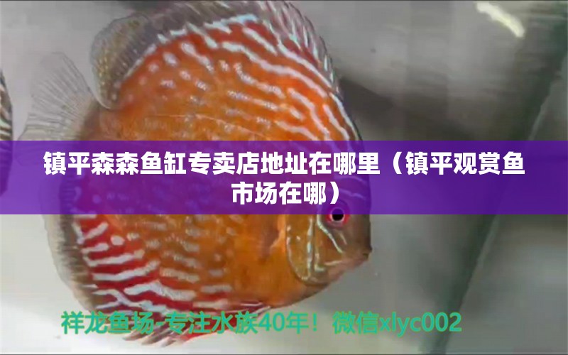 鎮(zhèn)平森森魚缸專賣店地址在哪里（鎮(zhèn)平觀賞魚市場在哪）