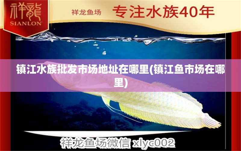 鎮(zhèn)江水族批發(fā)市場地址在哪里(鎮(zhèn)江魚市場在哪里) 觀賞魚水族批發(fā)市場