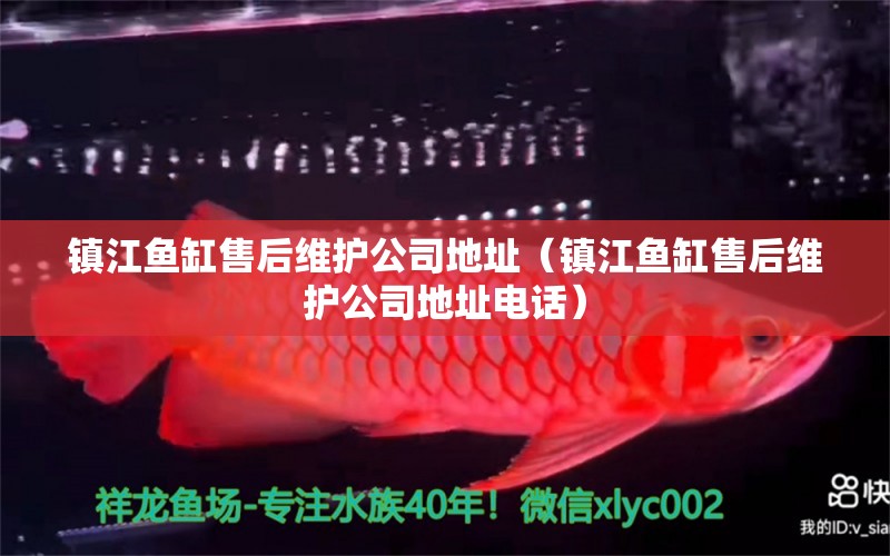 鎮(zhèn)江魚缸售后維護公司地址（鎮(zhèn)江魚缸售后維護公司地址電話）