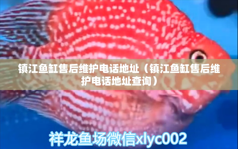 鎮(zhèn)江魚缸售后維護電話地址（鎮(zhèn)江魚缸售后維護電話地址查詢）