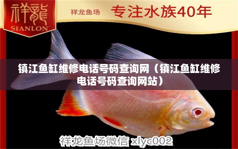 鎮(zhèn)江魚缸維修電話號碼查詢網(wǎng)（鎮(zhèn)江魚缸維修電話號碼查詢網(wǎng)站） 七紋巨鯉魚