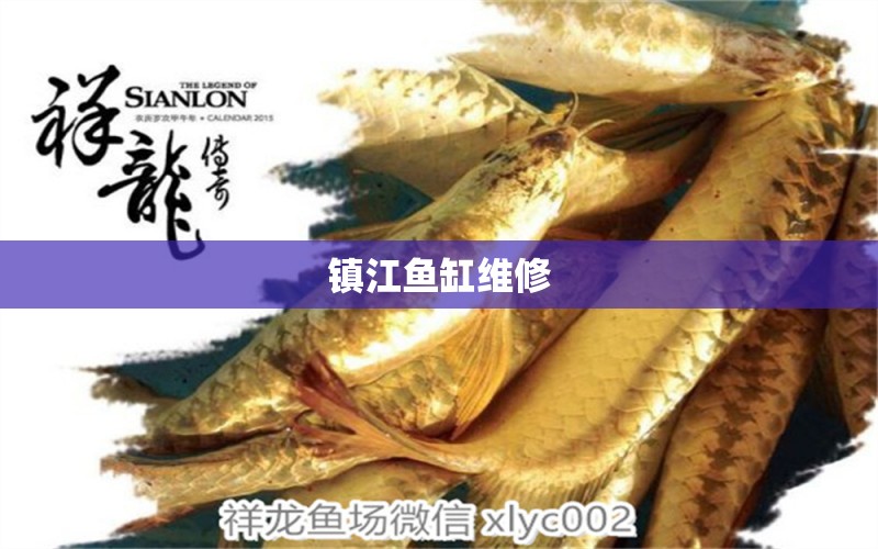 鎮(zhèn)江魚缸維修 其他品牌魚缸