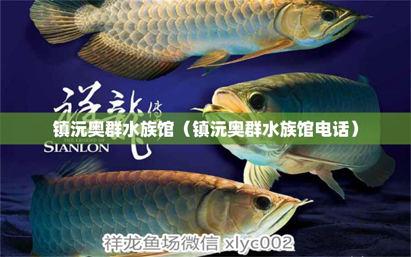 鎮(zhèn)沅奧群水族館（鎮(zhèn)沅奧群水族館電話） 全國水族館企業(yè)名錄