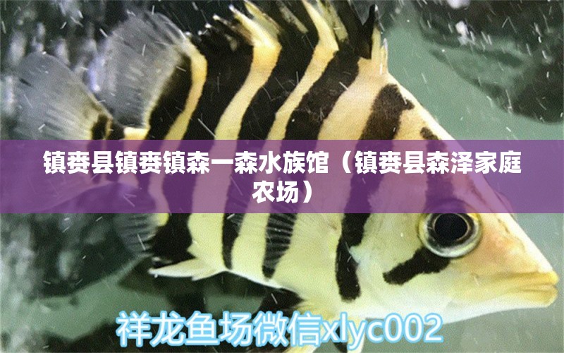 鎮(zhèn)賚縣鎮(zhèn)賚鎮(zhèn)森一森水族館（鎮(zhèn)賚縣森澤家庭農(nóng)場）