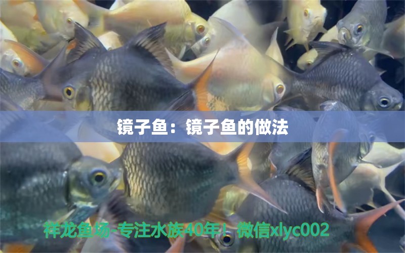 鏡子魚：鏡子魚的做法 觀賞魚