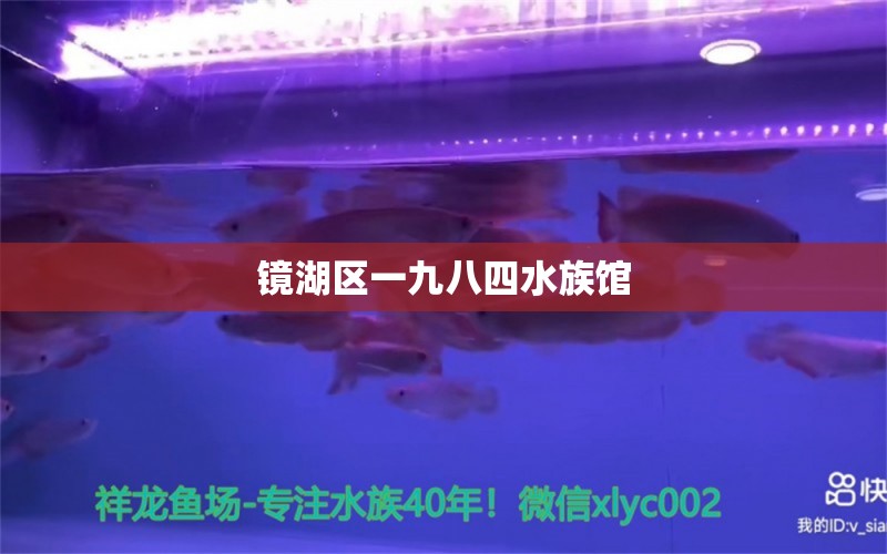 鏡湖區(qū)一九八四水族館