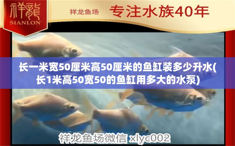 長一米寬50厘米高50厘米的魚缸裝多少升水(長1米高50寬50的魚缸用多大的水泵) 斑馬鴨嘴魚