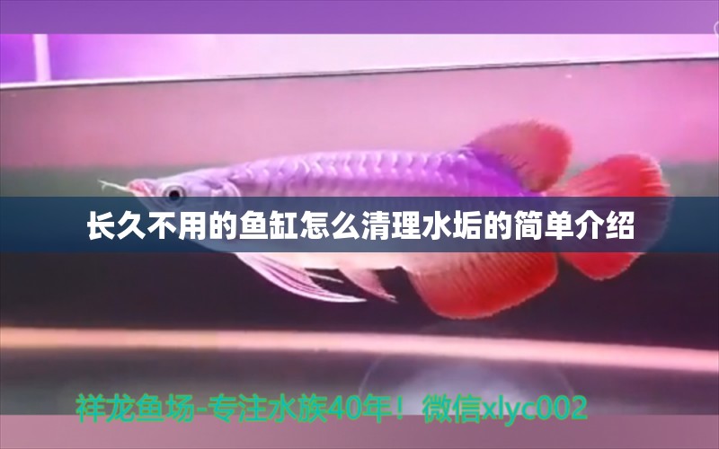 長(zhǎng)久不用的魚缸怎么清理水垢的簡(jiǎn)單介紹 肥料