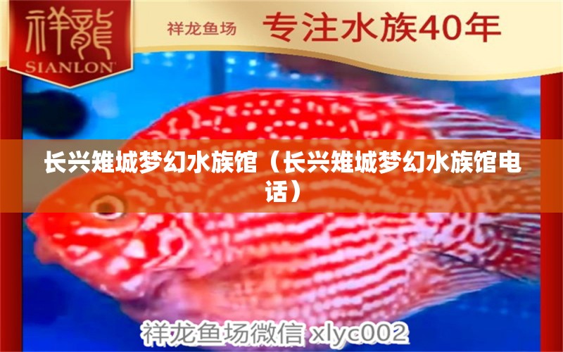 長興雉城夢幻水族館（長興雉城夢幻水族館電話）