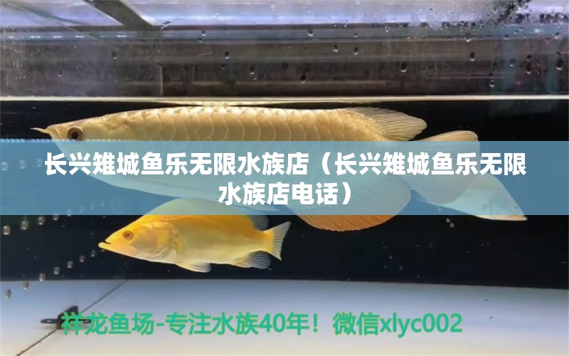 長興雉城魚樂無限水族店（長興雉城魚樂無限水族店電話）