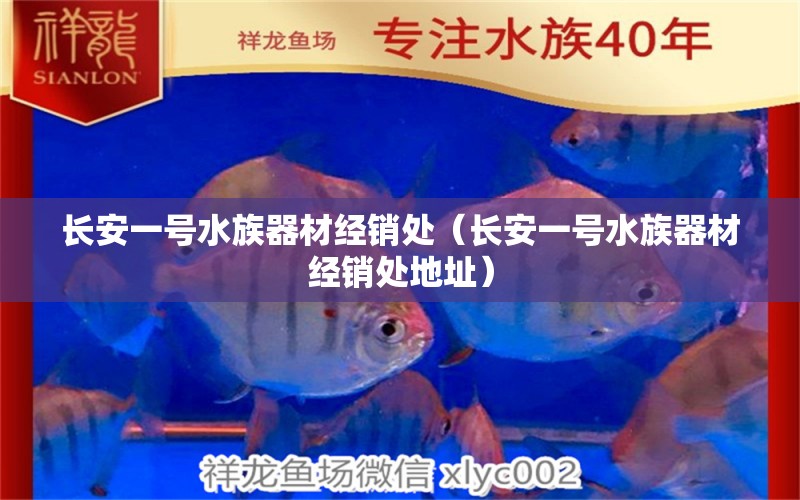 長安一號水族器材經(jīng)銷處（長安一號水族器材經(jīng)銷處地址）