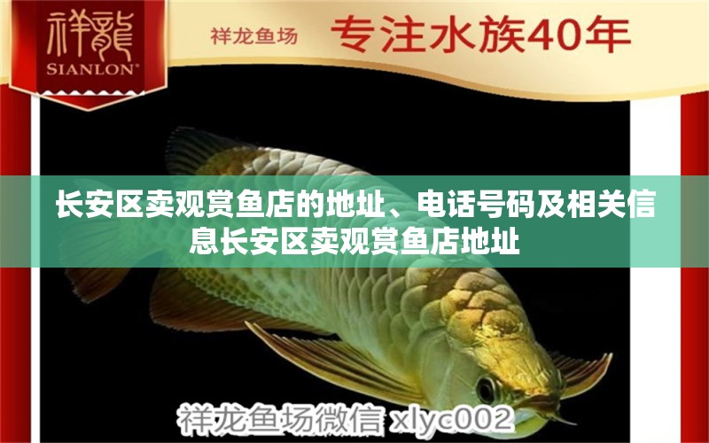 長安區(qū)賣觀賞魚店的地址、電話號碼及相關信息長安區(qū)賣觀賞魚店地址 黃金河虎魚