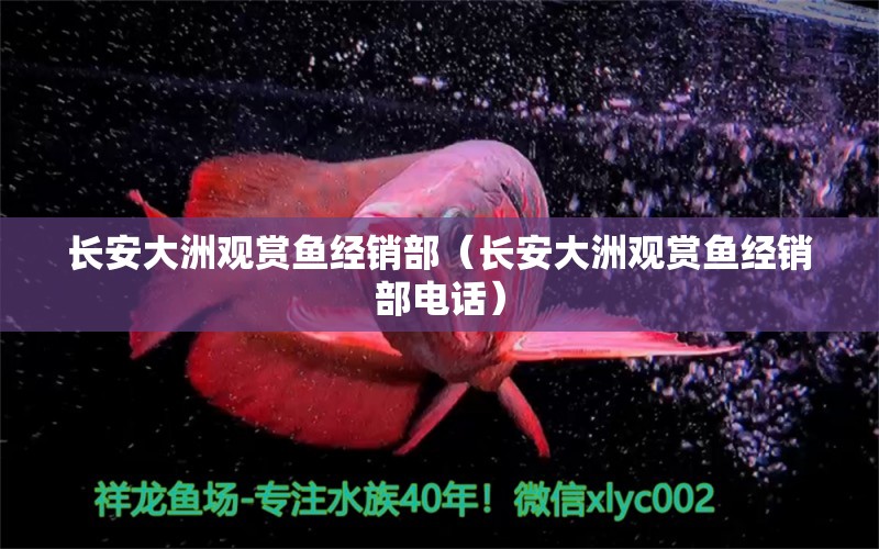 長(zhǎng)安大洲觀賞魚經(jīng)銷部（長(zhǎng)安大洲觀賞魚經(jīng)銷部電話）