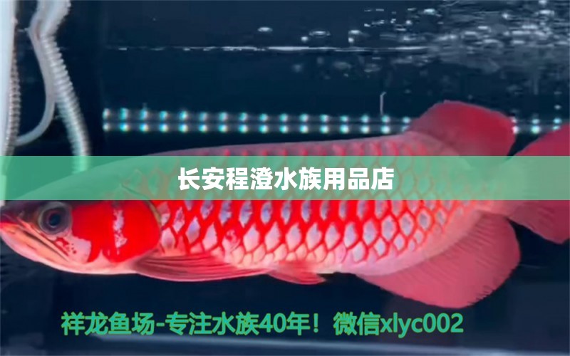 長(zhǎng)安程澄水族用品店 水族用品