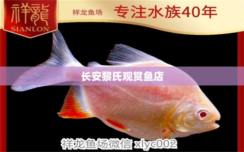 長安黎氏觀賞魚店 全國水族館企業(yè)名錄