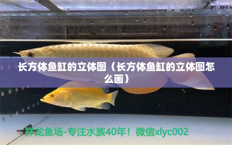 長(zhǎng)方體魚缸的立體圖（長(zhǎng)方體魚缸的立體圖怎么畫）