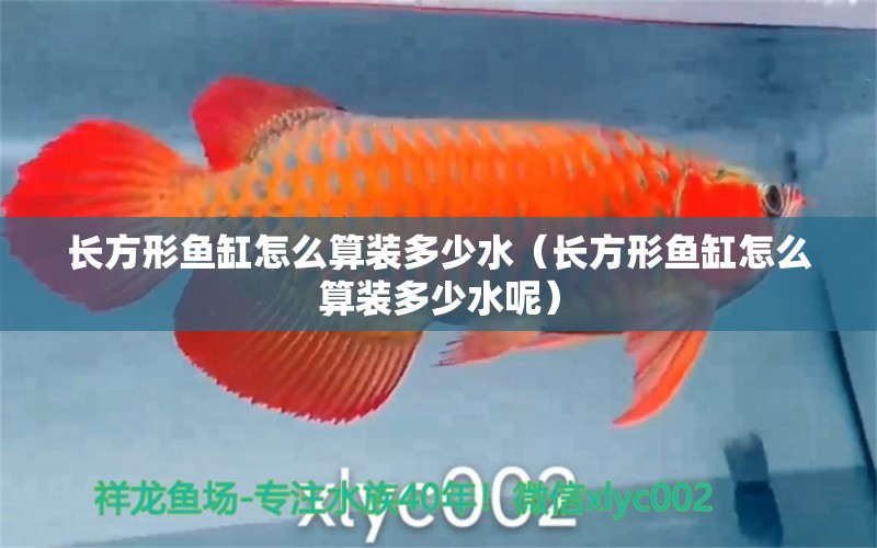 長(zhǎng)方形魚缸怎么算裝多少水（長(zhǎng)方形魚缸怎么算裝多少水呢）