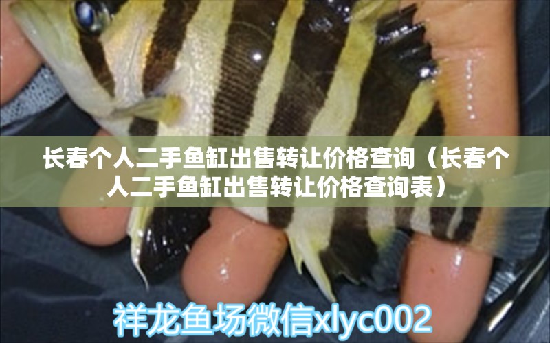 長春個人二手魚缸出售轉(zhuǎn)讓價格查詢（長春個人二手魚缸出售轉(zhuǎn)讓價格查詢表） 祥龍水族醫(yī)院