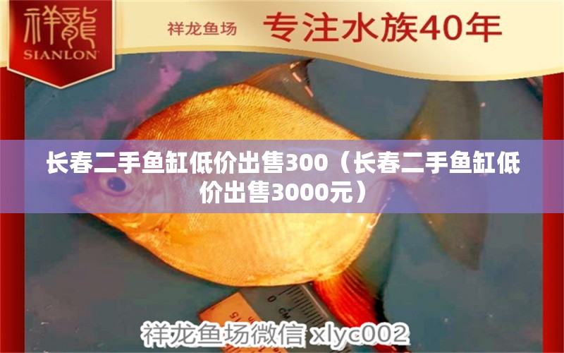 長春二手魚缸低價出售300（長春二手魚缸低價出售3000元） 其他品牌魚缸