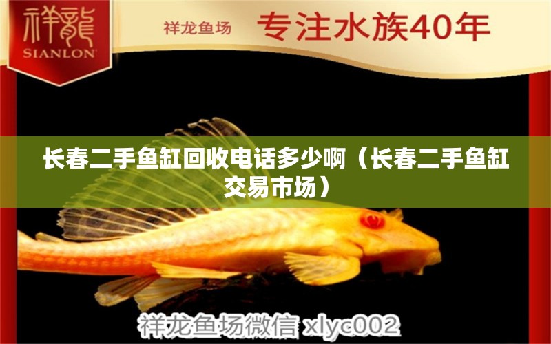 長(zhǎng)春二手魚(yú)缸回收電話多少啊（長(zhǎng)春二手魚(yú)缸交易市場(chǎng)） 祥龍水族醫(yī)院