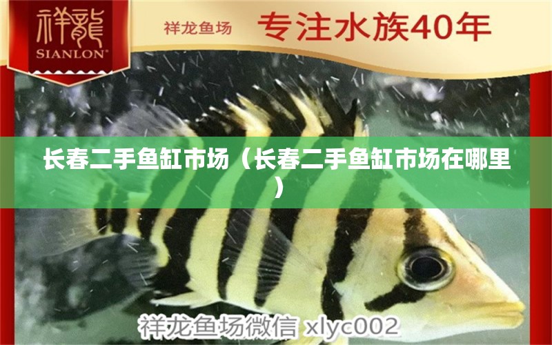 長春二手魚缸市場（長春二手魚缸市場在哪里）